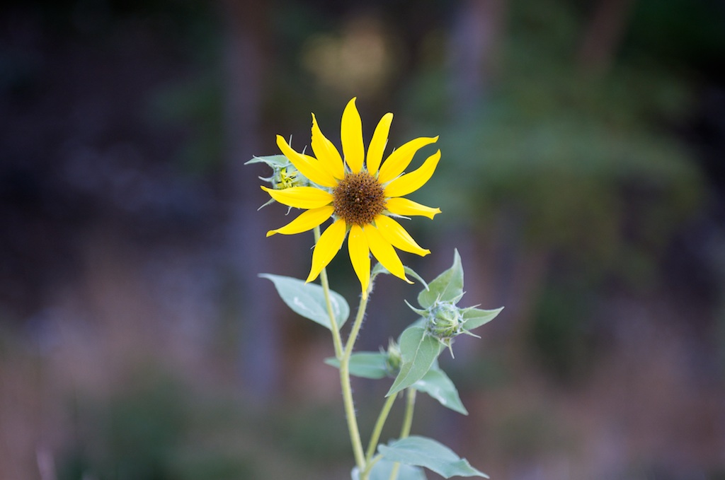 Aperture f/2.8 Aperture f/2.8