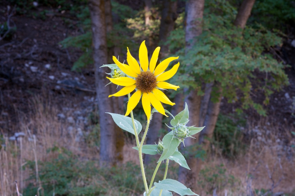 Aperture f/22 Aperture f/22