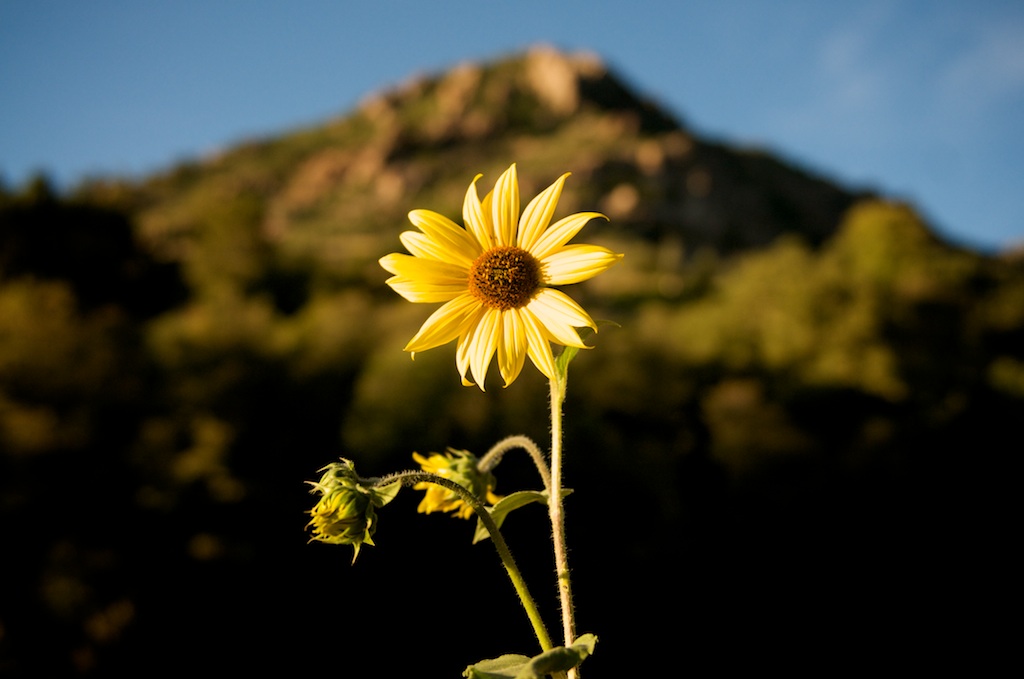 Aperture f/2.8 Aperture f/2.8