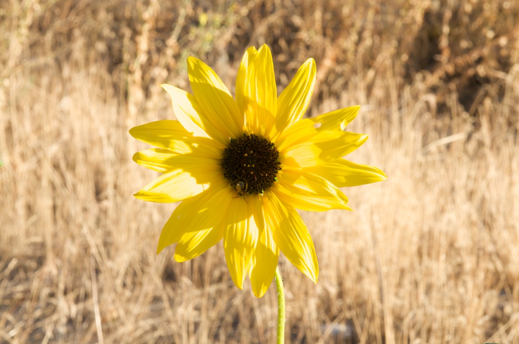 Aperture f/22 Aperture f/22