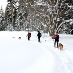 snow-shoeing-044