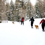 snow-shoeing-045