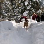 snow-shoeing-047