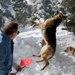 snow-shoeing-050