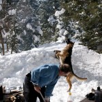 snow-shoeing-052