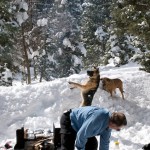 snow-shoeing-053