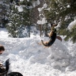 snow-shoeing-058
