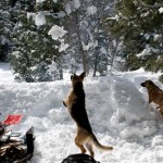 snow-shoeing-066