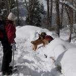 snow-shoeing-069