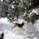 snow-shoeing-070
