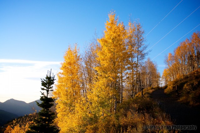 big-cottonwood-canyon-fall-2010-09-26-266