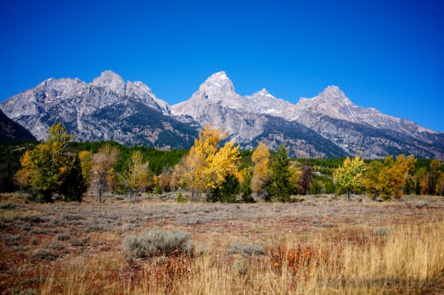 jackson-teton-park-2010-10-02-292