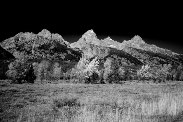jackson-teton-park-2010-10-02-293