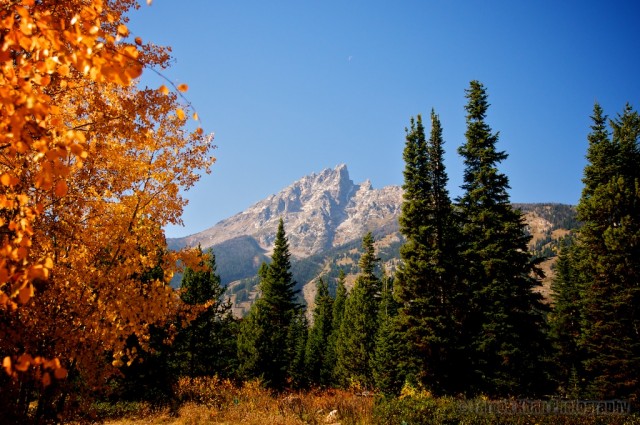 jackson-teton-park-2010-10-02-294