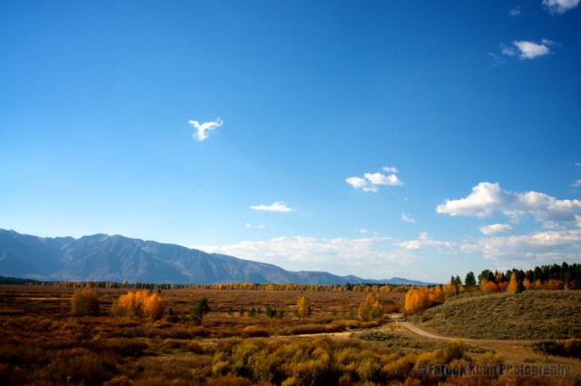 jackson-teton-park-2010-10-02-306