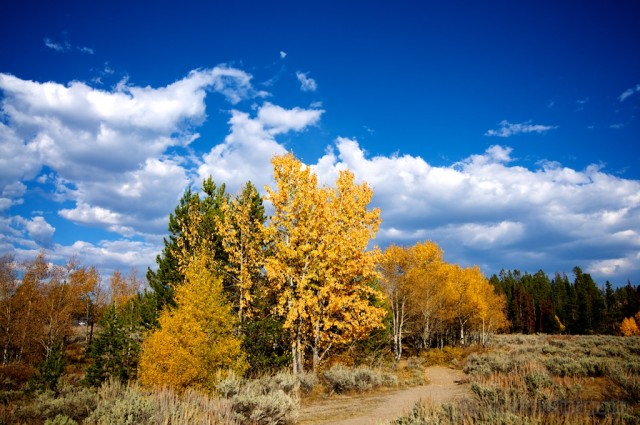 jackson-teton-park-2010-10-02-307