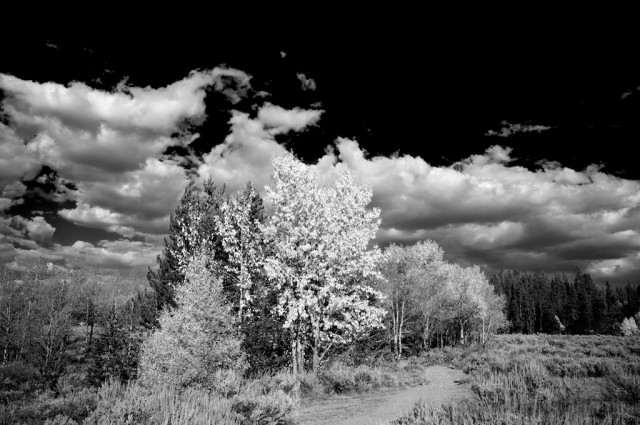 jackson-teton-park-2010-10-02-308