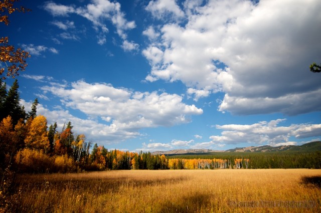 jackson-teton-park-2010-10-02-309