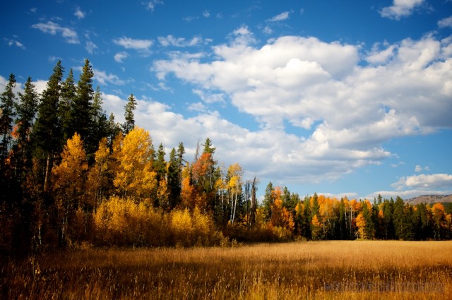 jackson-teton-park-2010-10-02-311