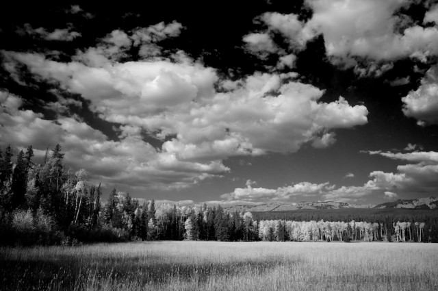 jackson-teton-park-2010-10-02-314