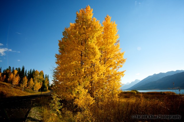 jackson-teton-park-2010-10-02-316