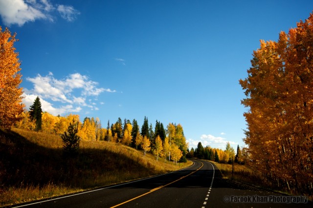 jackson-teton-park-2010-10-02-318