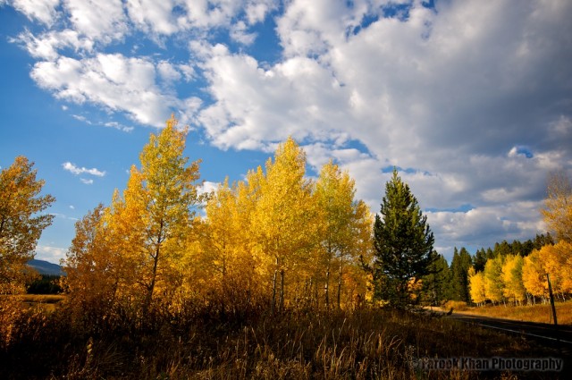 jackson-teton-park-2010-10-02-319