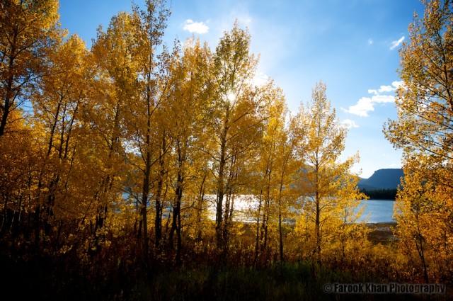 jackson-teton-park-2010-10-02-320