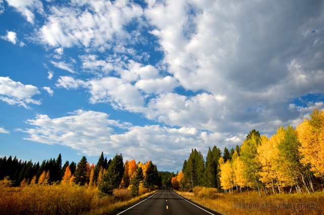 jackson-teton-park-2010-10-02-321