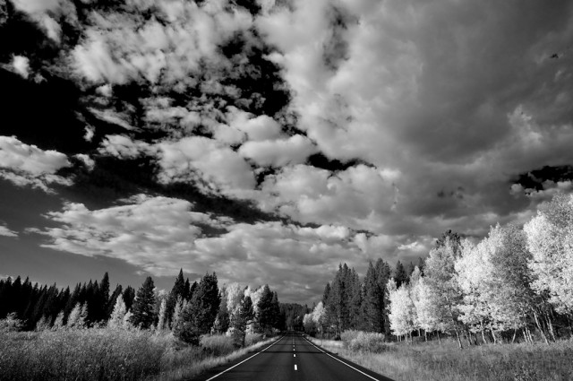 jackson-teton-park-2010-10-02-322