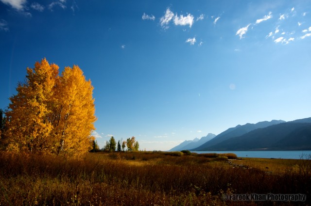 jackson-teton-park-2010-10-02-324