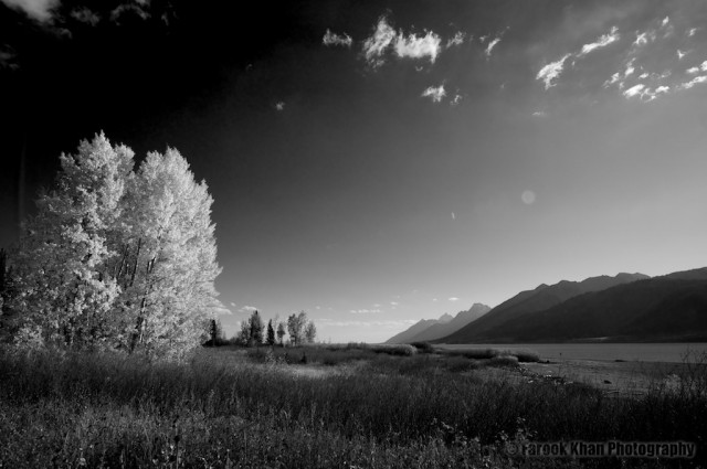 jackson-teton-park-2010-10-02-325