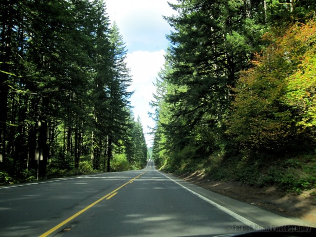northwest-trip-2010-10-11-296